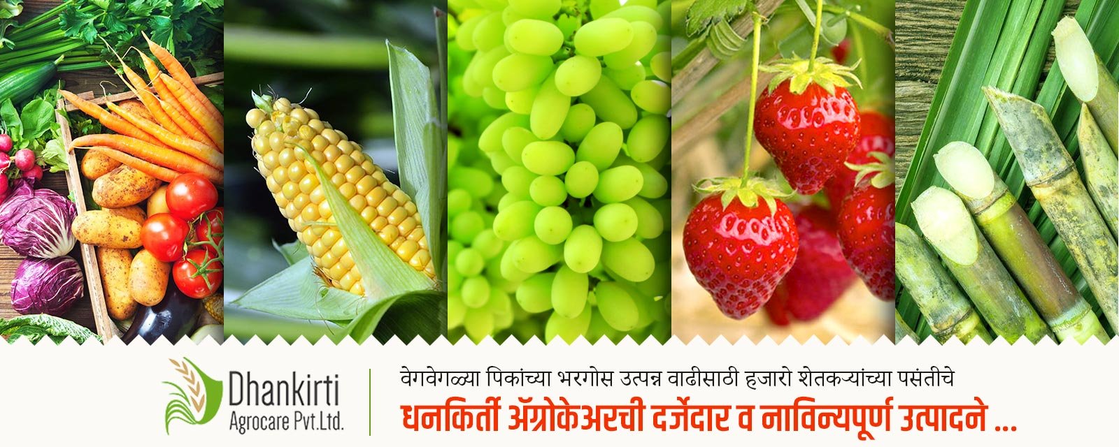 Dhankirti Agrocare Pvt. Ltd.