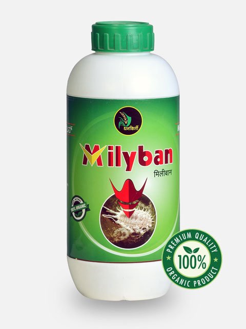 Milyban