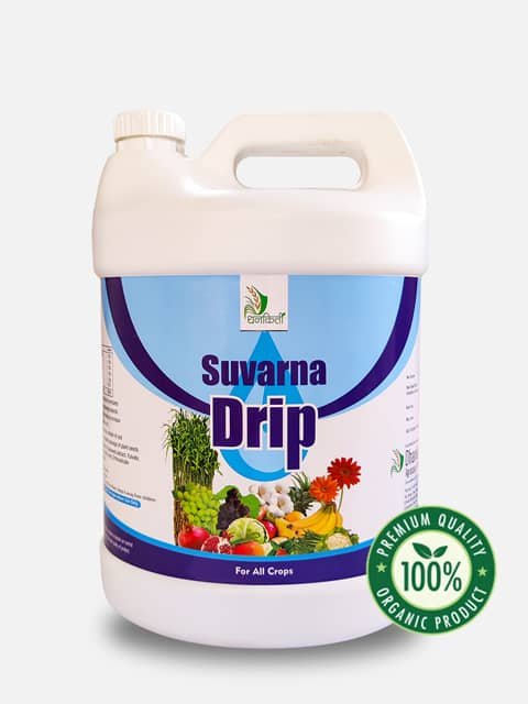 Suvarna Drip