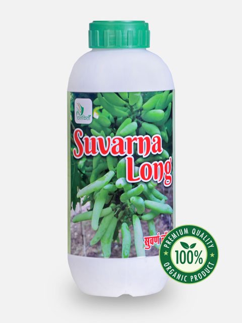 Suvarna Long